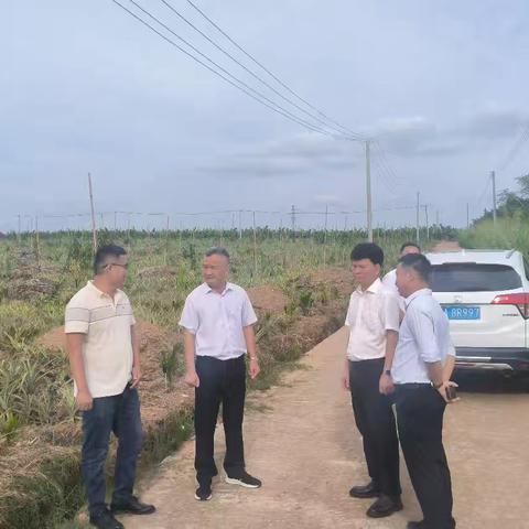 市级副林长蒙常委到大田镇开展巡林工作（二）