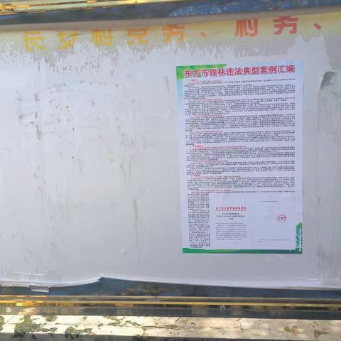 大田镇以毁林案例汇编形式宣传普法