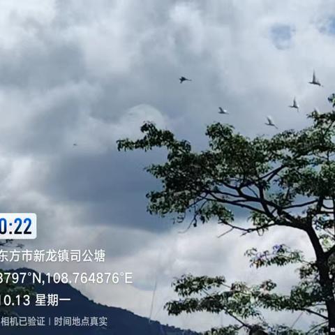 关爱生灵 保护鸟类 我们在行动