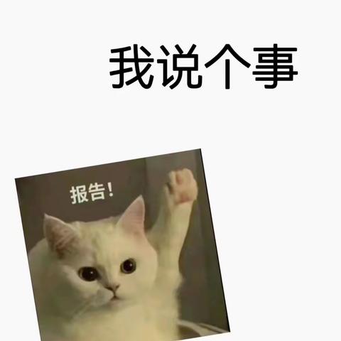 用户19919689的简篇