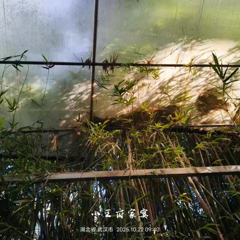 小王府9月份质检整改