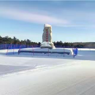 无滑雪，不冬季🎿长春市朝阳实验小学校六年七班 王梓萌