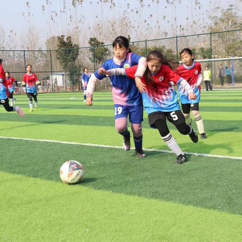 实验小学足球社团总结