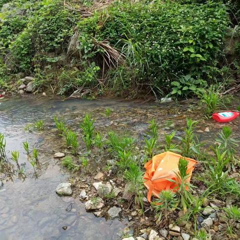 五一坚守护碧水 筑牢河道生态线