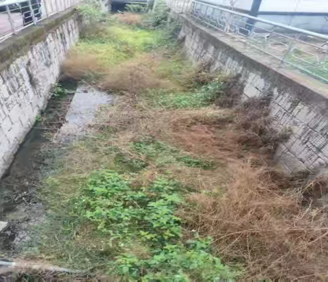 靶向整治溪流环境 常态管护守护碧水