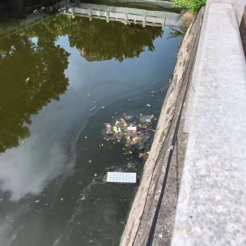 粽香迎端午 护河焕新颜