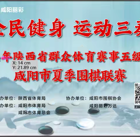 热烈祝贺“全民健身 运动三秦”2024年陕西省群众体育赛事五级联赛暨咸阳市夏季围棋联赛圆满成功