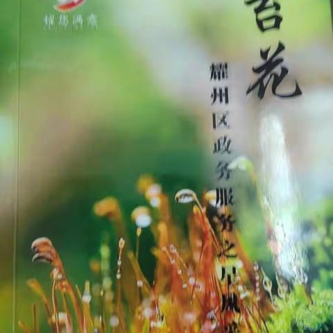 《苔花》序言