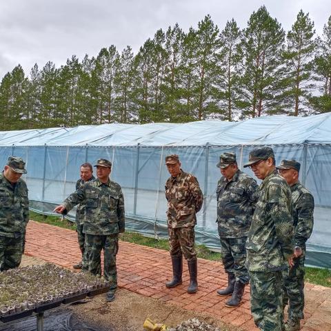 集团生态修复管理处深入松岭林业局开展春造督导工作