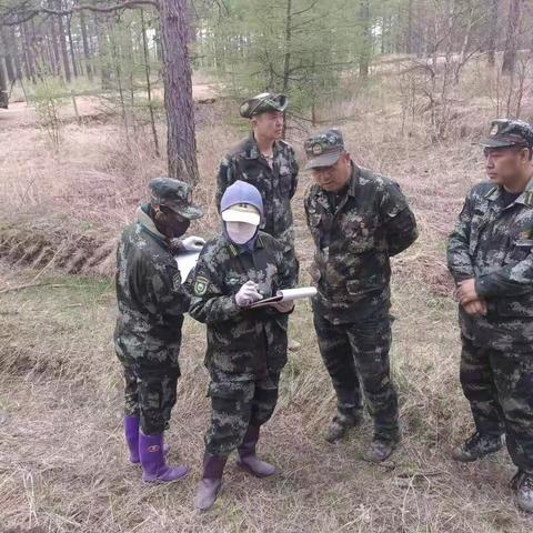 松岭林业局严格发挥生态修复质量管理体系作用