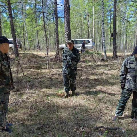 松岭林业局病防站开展鼠害防治验收