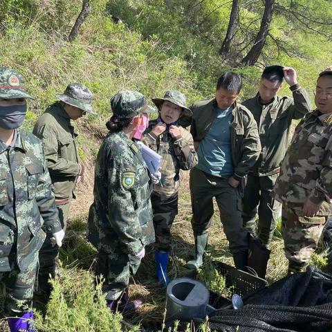 松岭林业局开展嫩江上游水源地保护治理工程