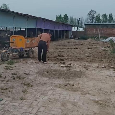 推进人居环境整治，打造美丽乡村