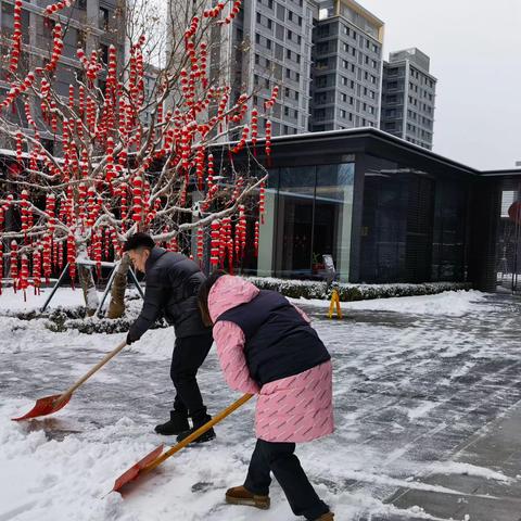 雪҈雪҈ 雪҈……幸福里筹备组吹响铲雪除冰“集结号”！