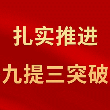 保障母婴健康 ，呵护祖国未来——八力镇卫生院开展世界卫生日宣传活动