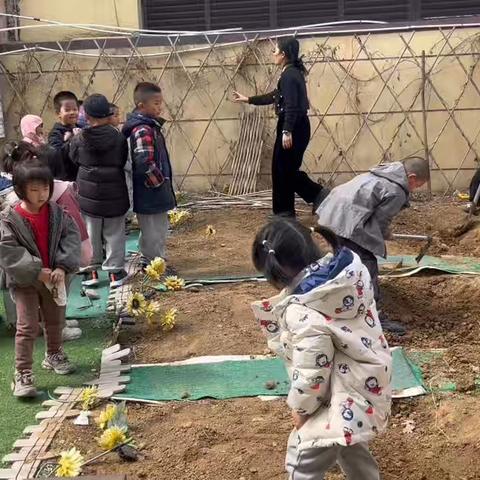春天助力孩子阳气升发活动——刨地