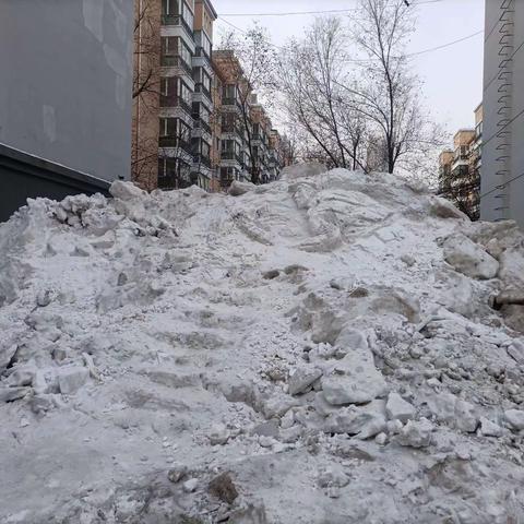 哈35中冰雪艺术