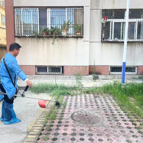 榆山街道龙山社区：疏通排水沟，为民“排烦忧”