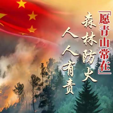 大安镇森林消防| 全力开展森林防火宣传，筑牢安全“防火墙”