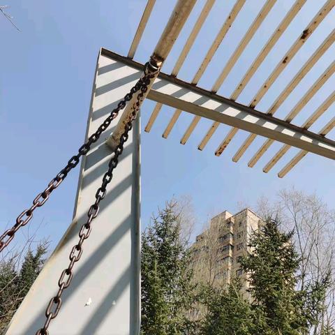 探索自然与结构的和谐之美