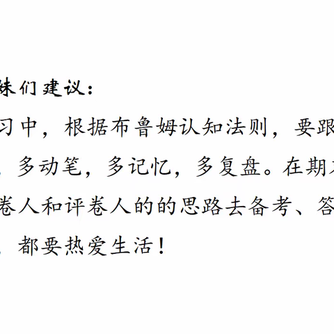 反思总结及建议