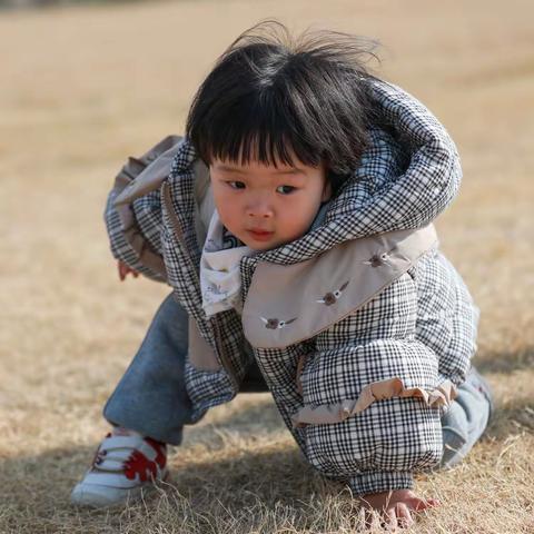 2025-11-30园博园萌宠乐园