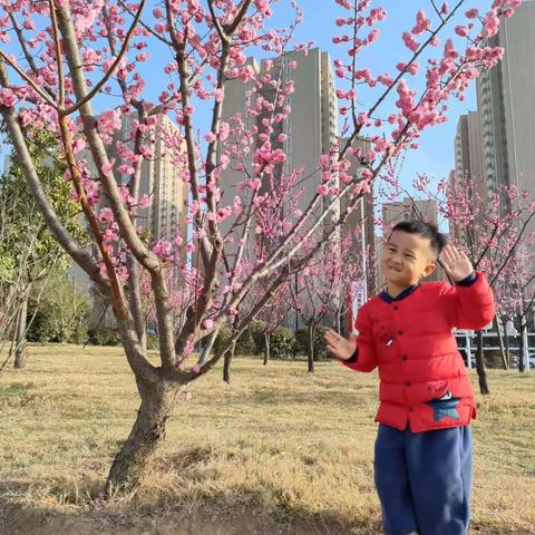 【政幼·幸福阅读】融阅读之爱 毓书香之美 小班组（157期）