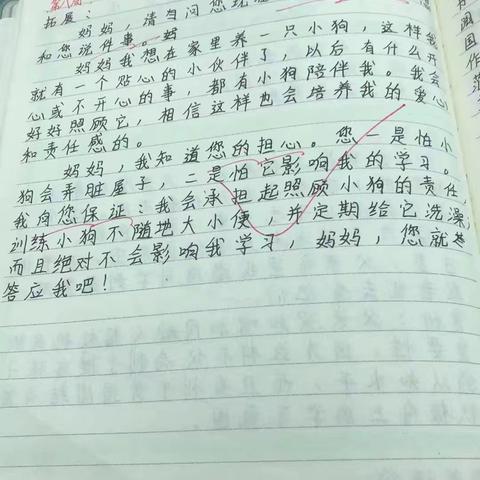 实验小学文翰校区六（10）班 摘抄拓展优秀案例分享