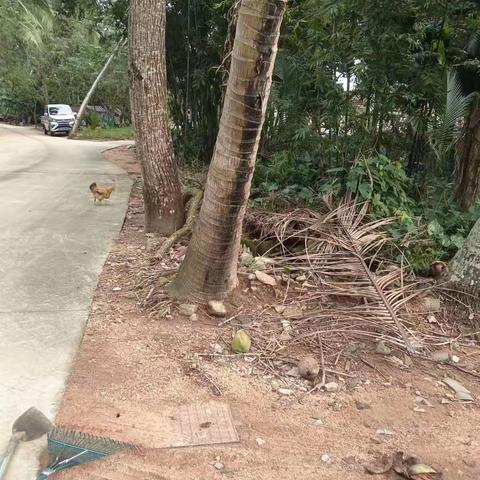 大致坡镇福山良村完成区级人居环境问题整改工作