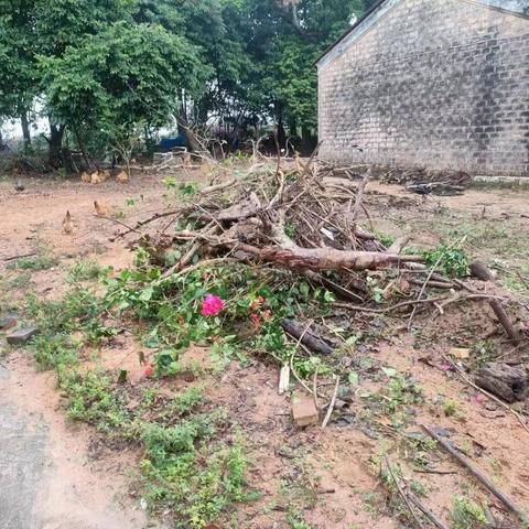 大致坡镇大园村完成区级人居环境问题整改工作