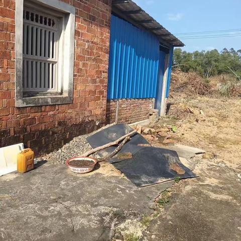 大致坡镇老村完成区级人居环境问题整改工作