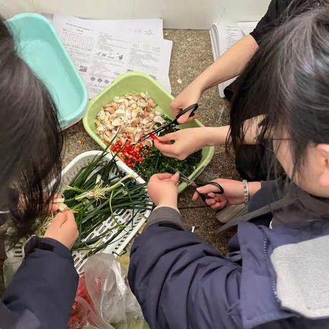 我们的校园生活——210班