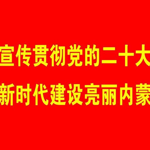 扎兰屯市退役军人事务局党组召开学习贯彻习近平新时代中国特色社会主义思想主题教育专题民主生活会