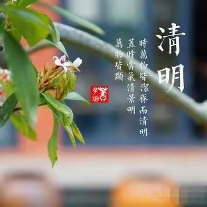 我们的节日·清明 ——南乐县西湖小学清明节主题活动