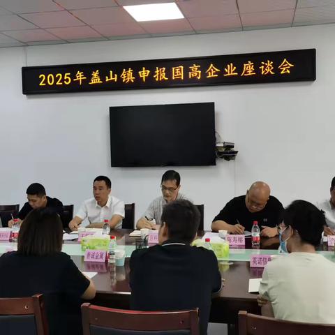 2025年盖山镇申报国高企业座谈会