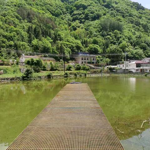 置身美丽乡村享受田园生活