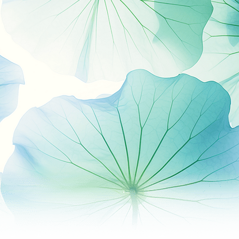 徽商银行宁波余姚支行召开2025年度工作会议