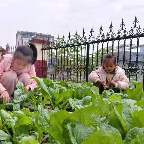 冬日暖阳，冬至快乐