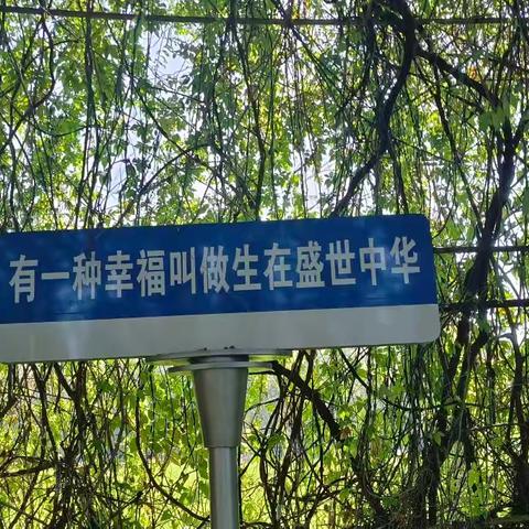 忻城县城关镇中心小学2023级5班第十三周“六个一”活动展示