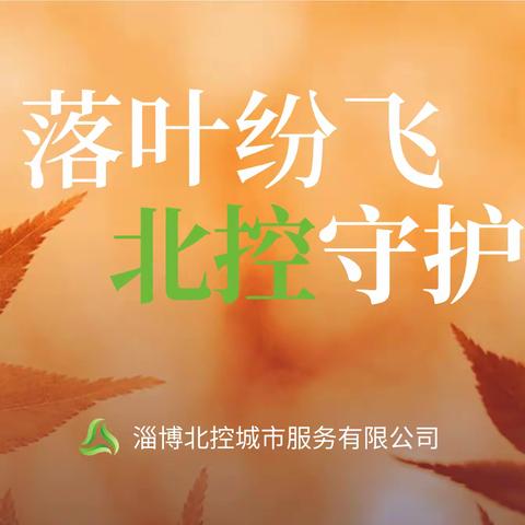 落叶纷飞，北控守护