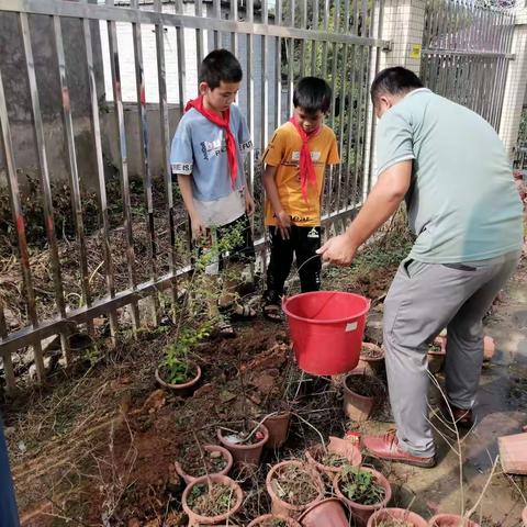 绿化环境，从我做起--苍梧县旺甫镇八会小学开展植树活动