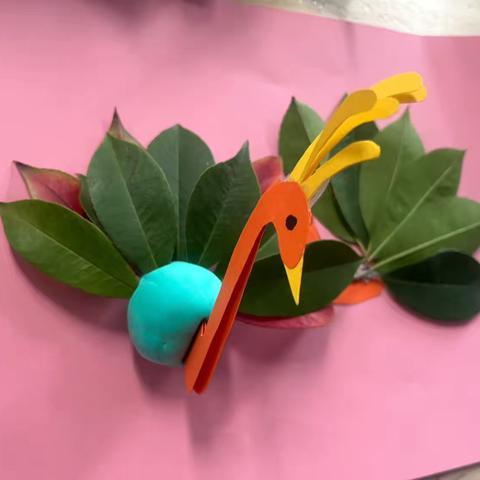 7.美丽的孔雀🦚