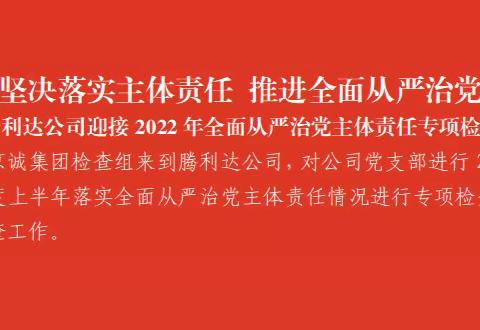 坚决落实主体责任 推进全面从严治党--腾利达公司迎接2022年全面从严治党主体责任专项检查