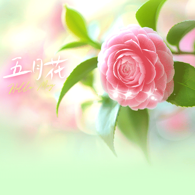 涵西乒乓球之家第四届乒乓球友谊赛圆满落幕
