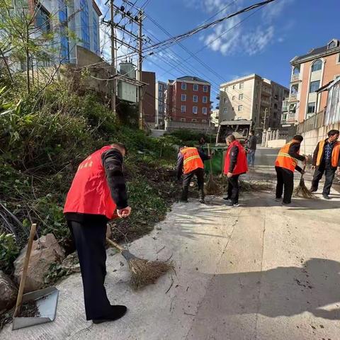 松下镇：护河爱水不停歇，清洁卫生美家园