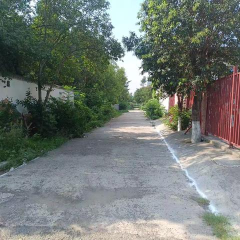 乡村蝶变：商酒务镇皂角树村修路修渠带来新面貌