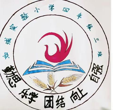 班徽设计大赛——如皋市实验小学四(3)班班会活动