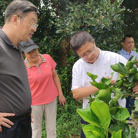 张思峰带队考察调研我院支持建设 的乡村振兴基地