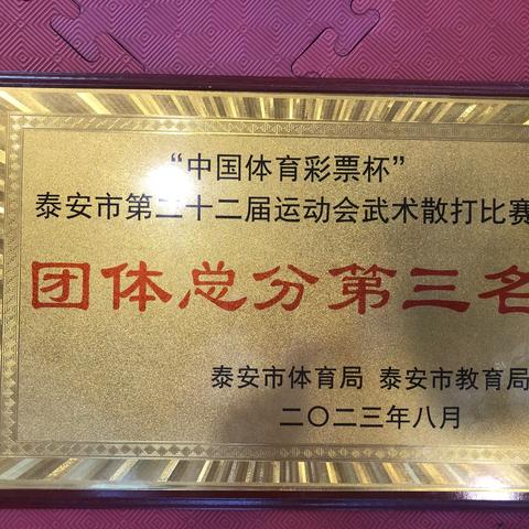 我县在泰安市第二十二届运动会武术散打比赛中获佳绩