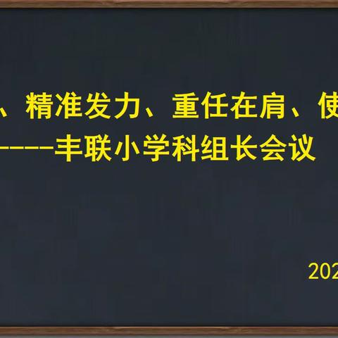 阜沙镇丰联小学科组长会议